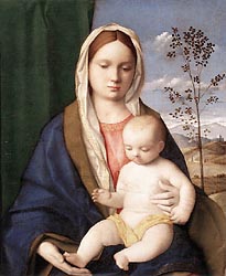 Madonna, c1505-1510