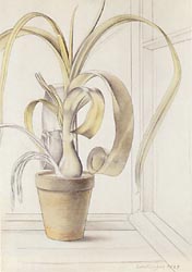 Foliage Plant by the Window, 1929